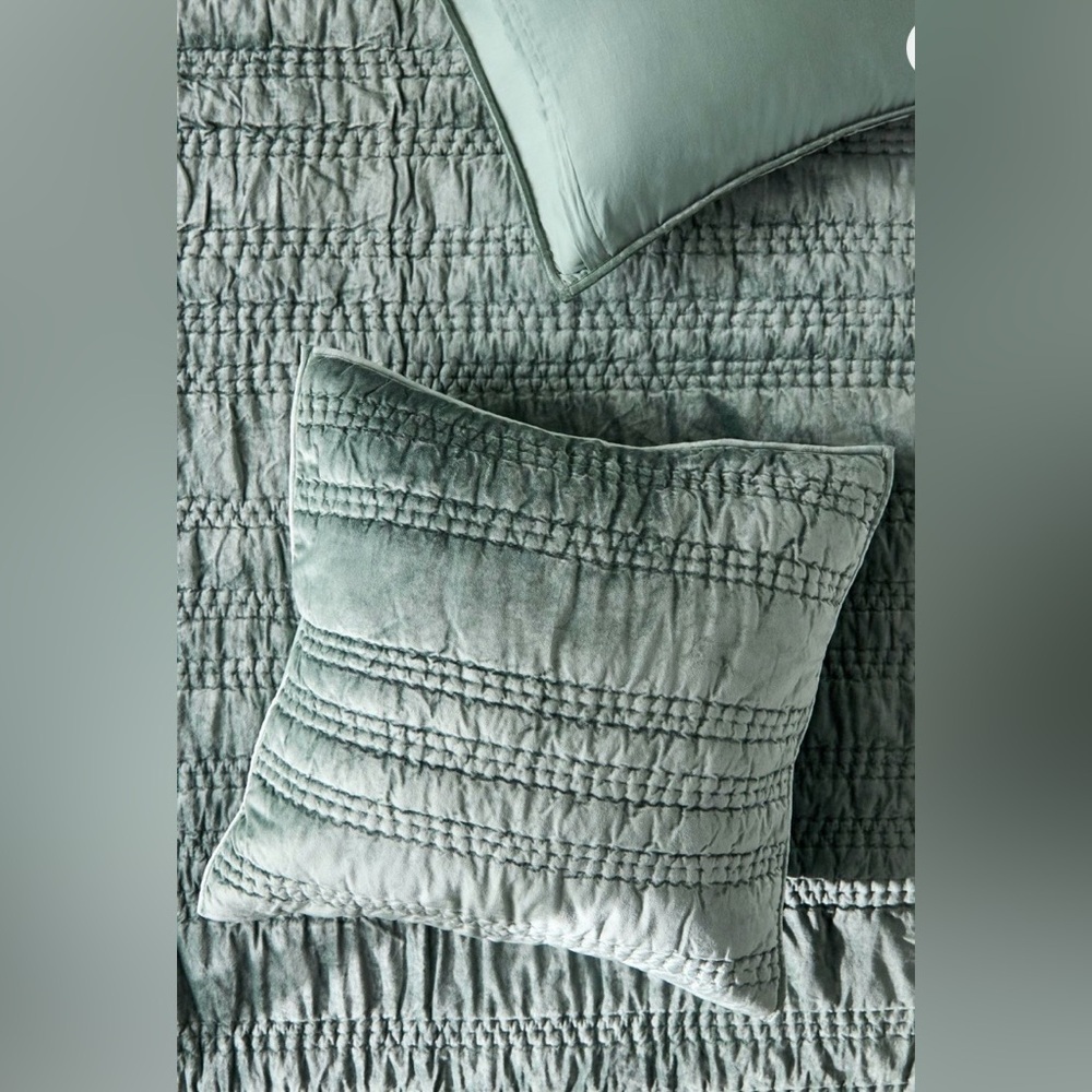 Anthropologie Lustered Velvet Alastair Euro Sham NWT
